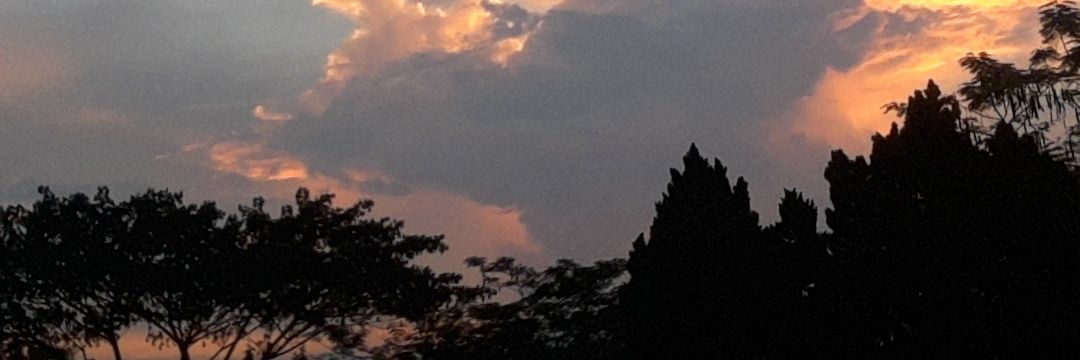 hayul_m's profile banner image