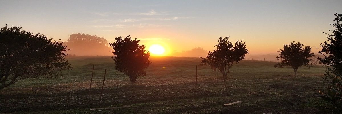Leanderk93's profile banner image