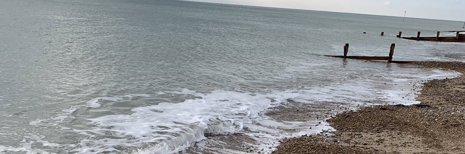 James Surname Ⓥ banner