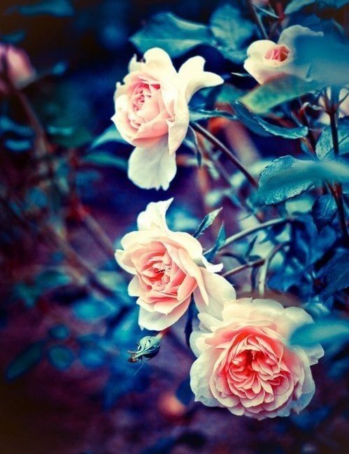 _Lerik_s's profile banner image