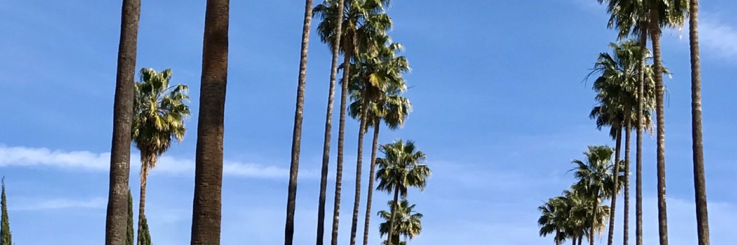 thrashchick07's profile banner image