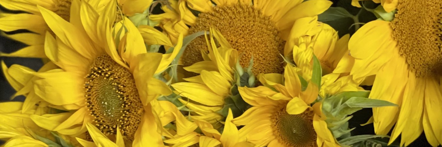 _chloesmith0's profile banner image