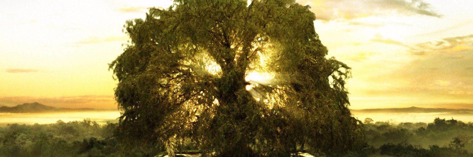 Isabel Goucher banner