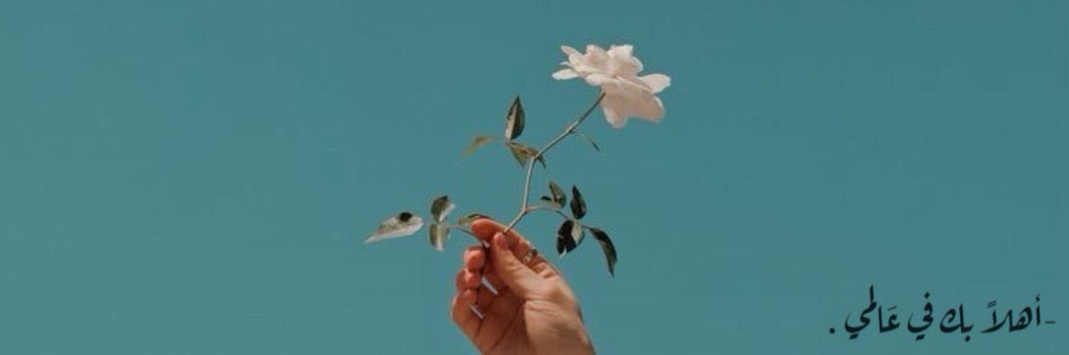 _none555's profile banner image