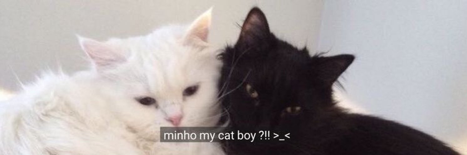 deu moved banner