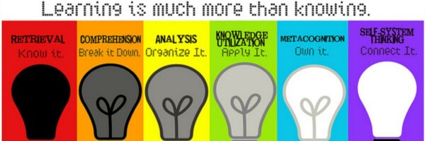 LearningCurve_ Profile Banner