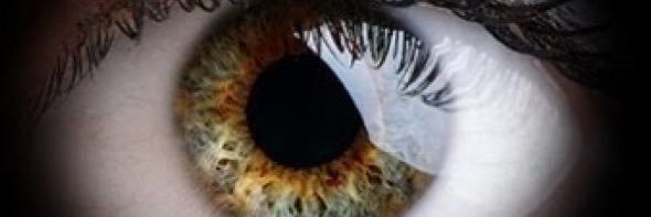 SexObserver's profile banner image