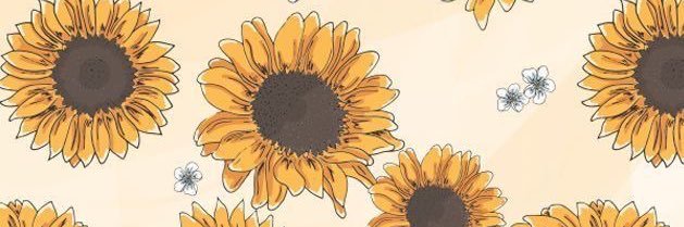 Sea_Calls's profile banner image