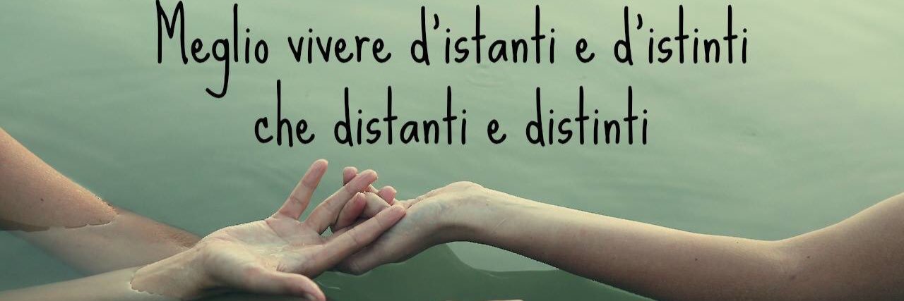 Paolo Zanin banner