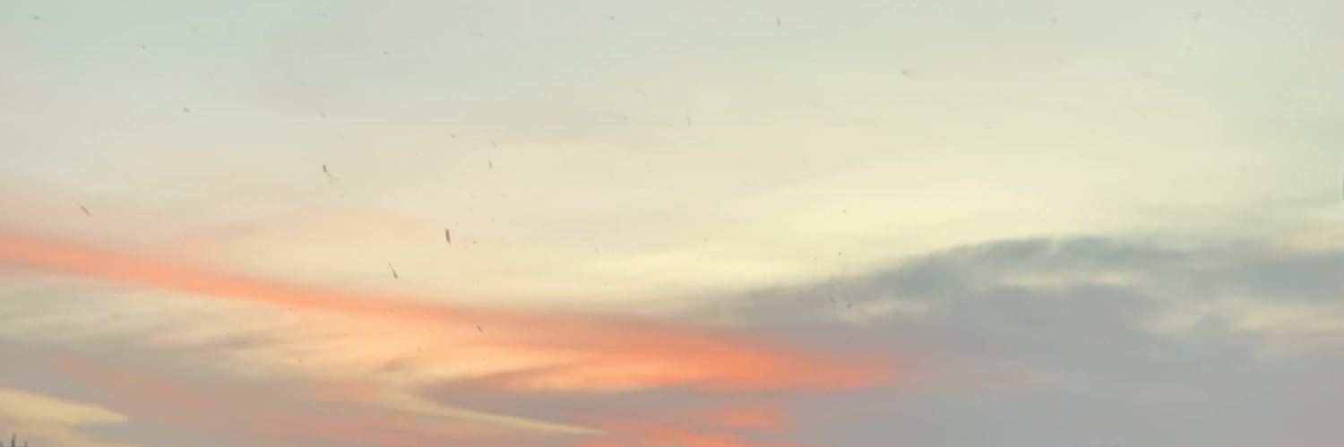 msmiryam15's profile banner image