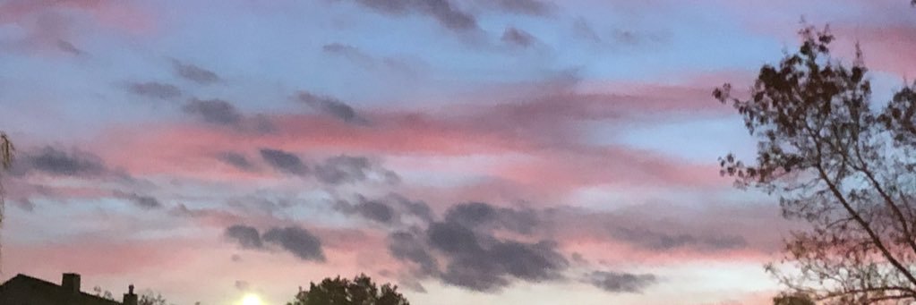 Jenni ✨ banner