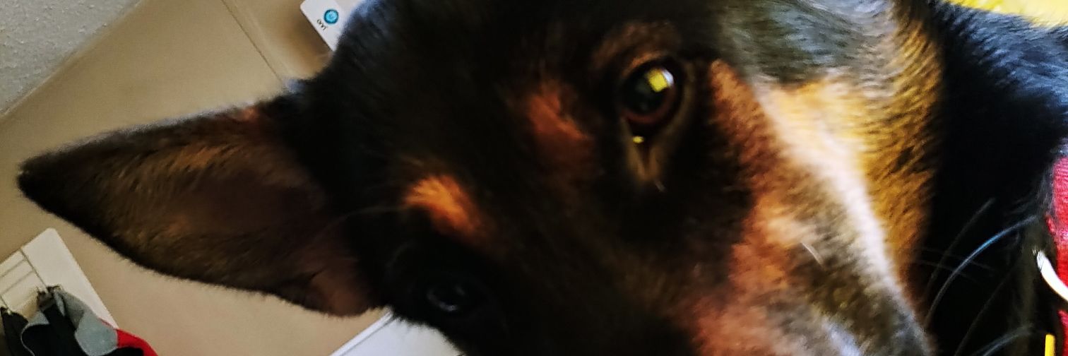 moetaz15's profile banner image