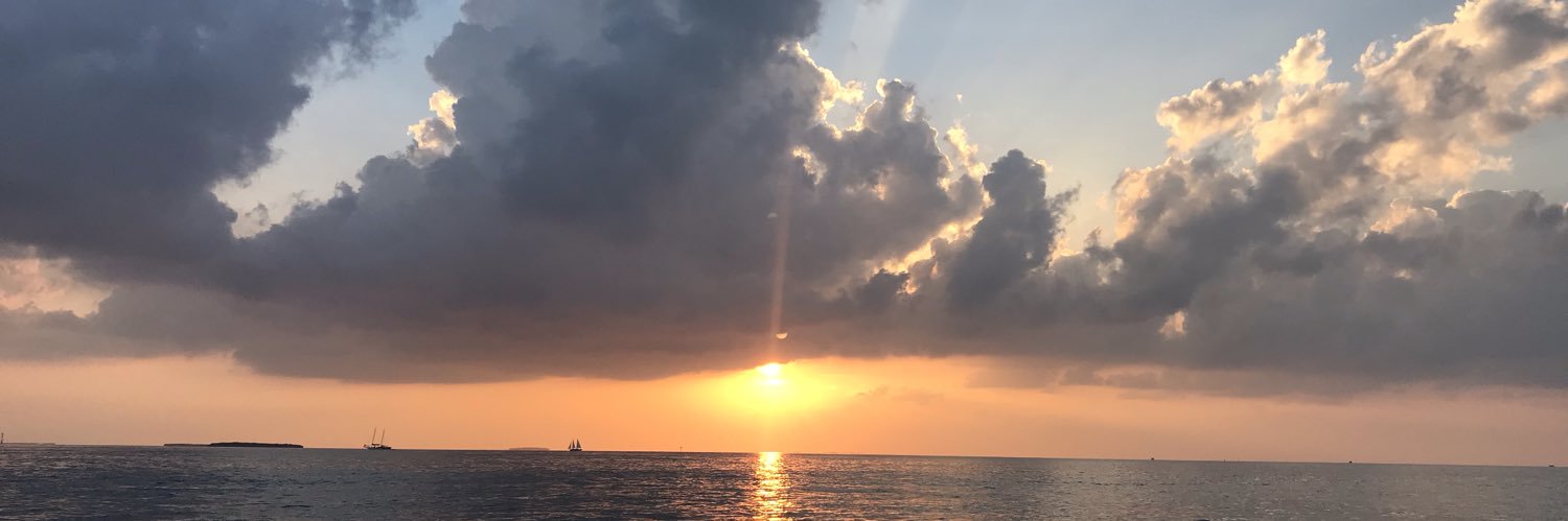 HeideLizzy's profile banner image