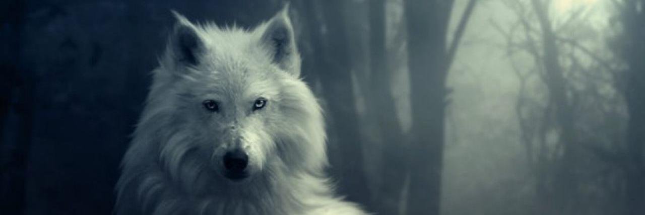 Sade_Ukkonen's profile banner image