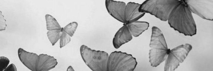 AriOttonelli's profile banner image