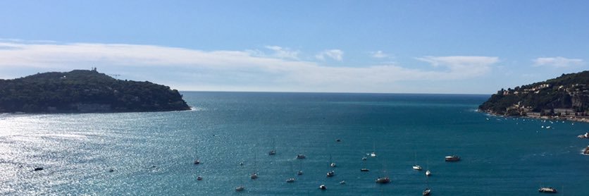 Nicolegex ✏️✏️✏️ banner