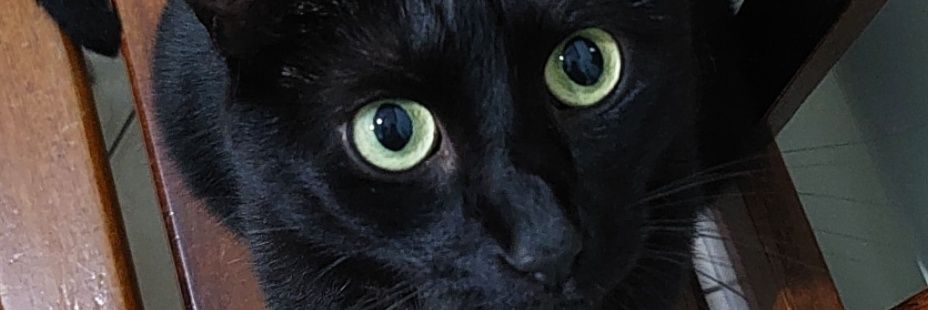 eloheerdt's profile banner image