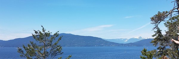 clarelyle Profile Banner