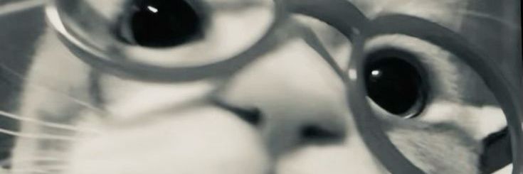 _wiwowio's profile banner image