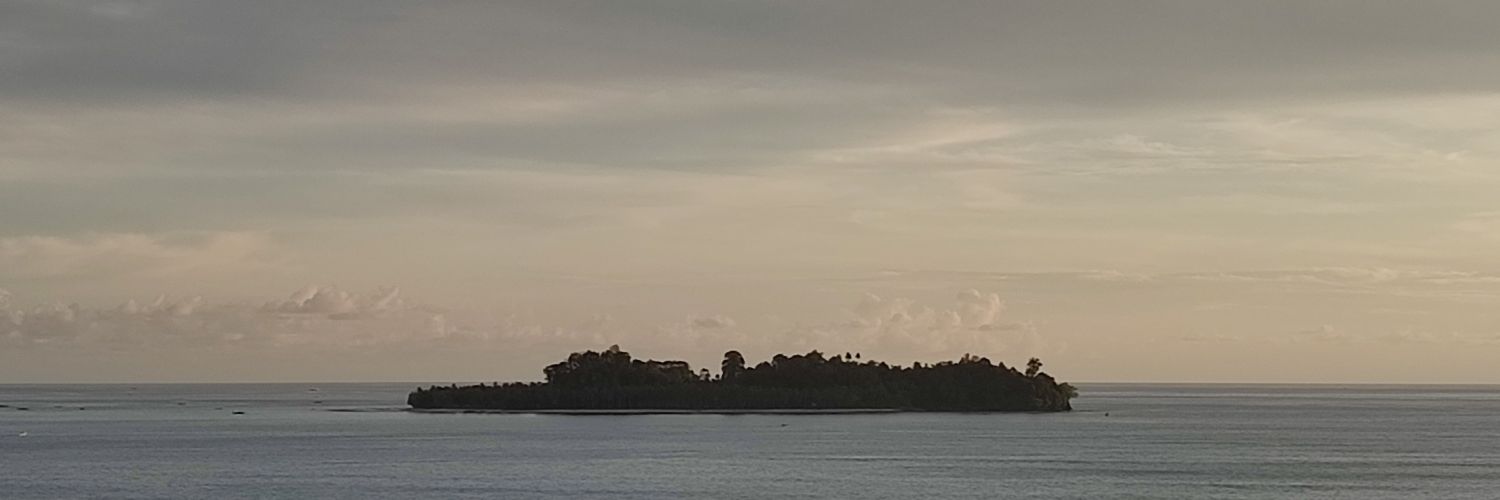 uwoh_'s profile banner image