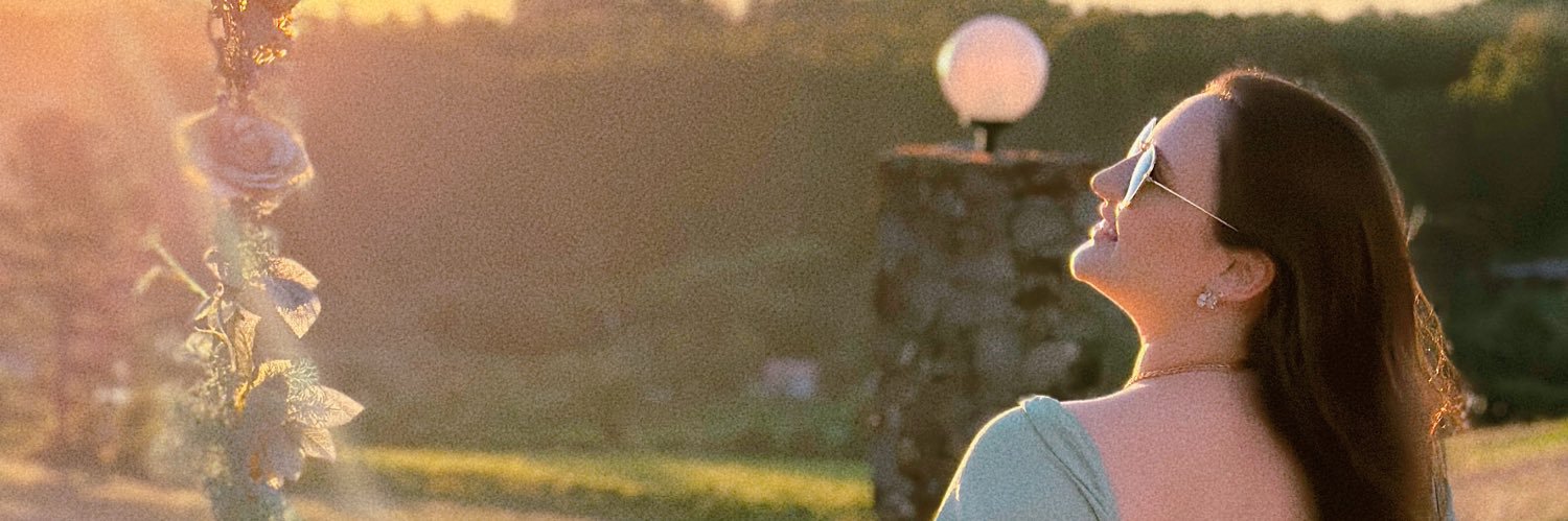 LariGirotto's profile banner image