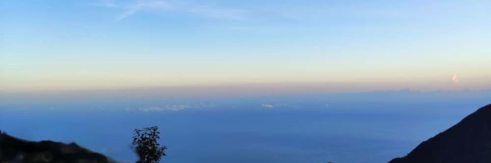 morellanakary's profile banner image
