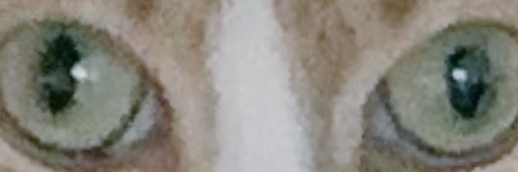 KilllEmAll's profile banner image