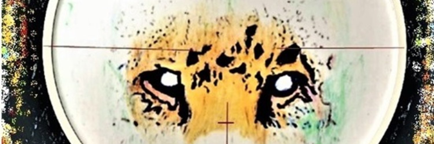 cjseade's profile banner image