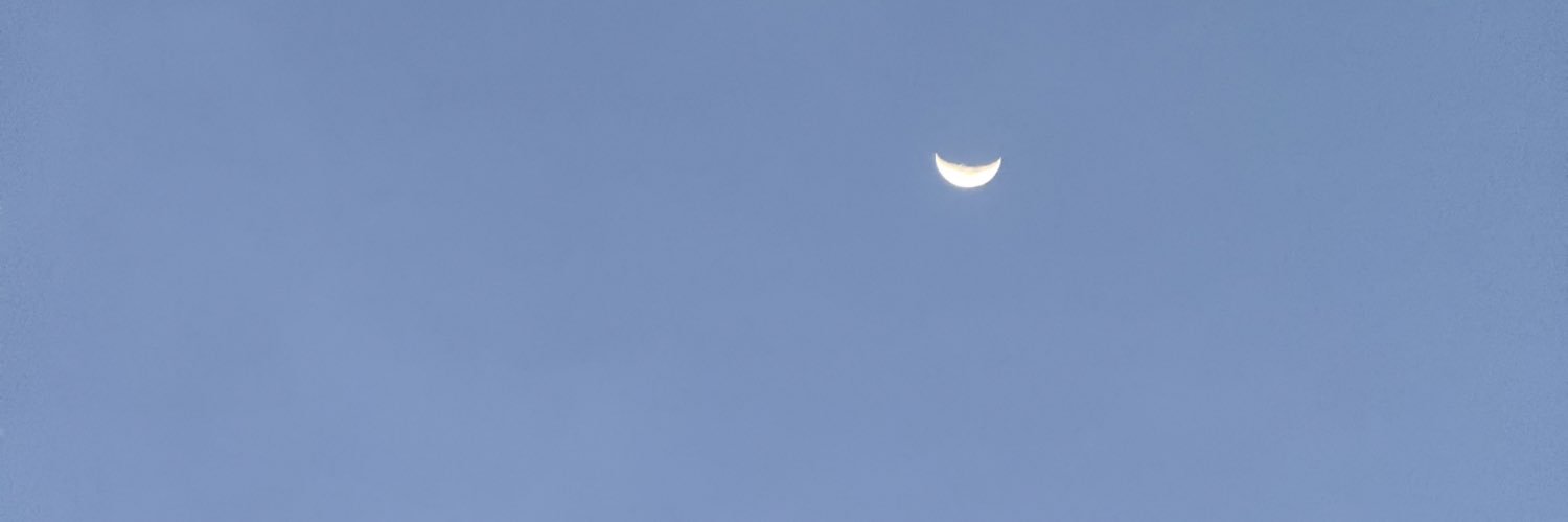 Termites 🥰🥰🥰 banner