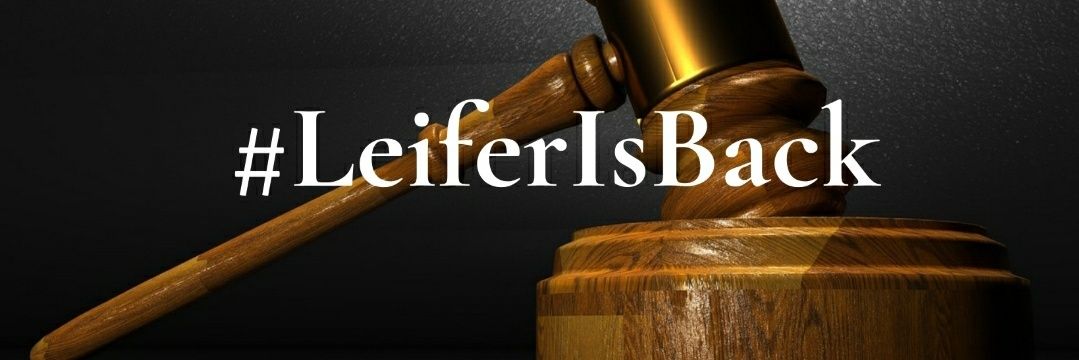 Dassi Erlich #Leiferisback banner