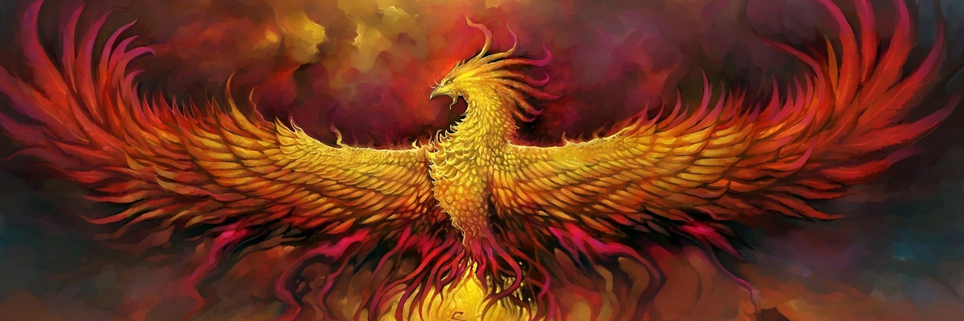 hasnoor69's profile banner image
