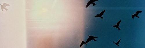 maydar22's profile banner image