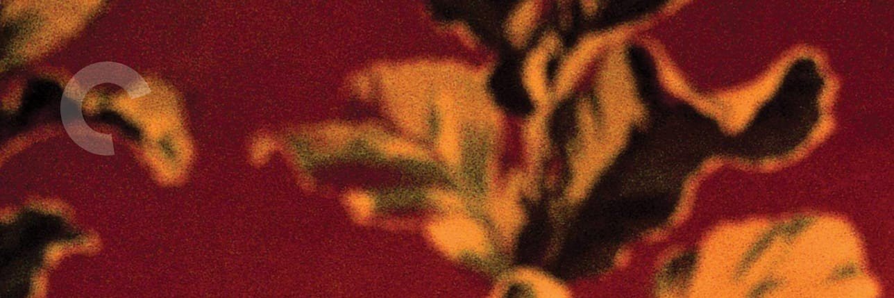 merdoomerdo's profile banner image