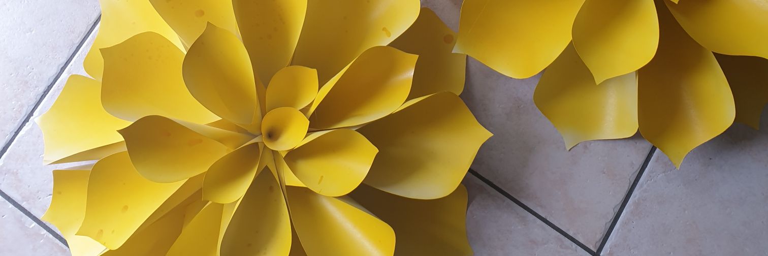Marlynoux's profile banner image