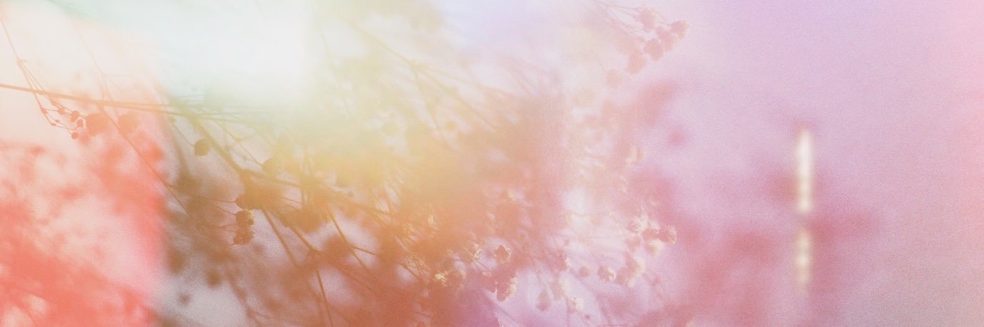 山本春花 banner