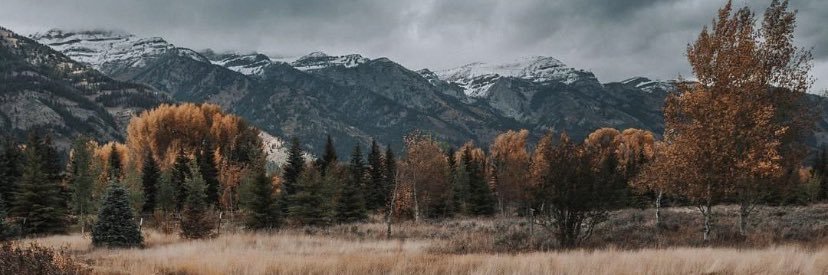 alisonchiconeya's profile banner image