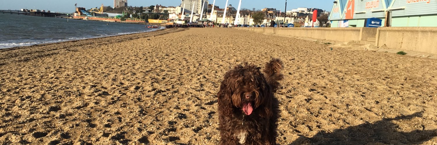 🦕🦖Liz Cox🦖🦕 banner