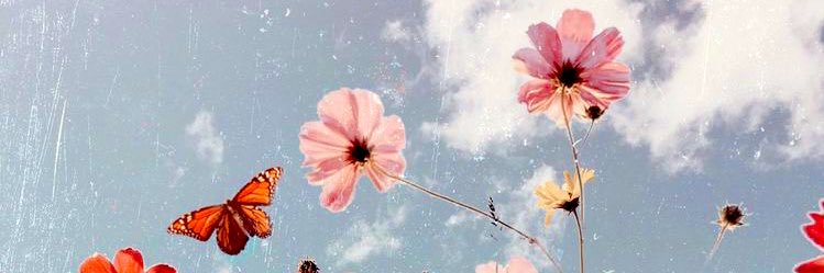 shelbsid's profile banner image