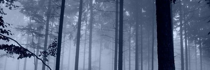 G banner