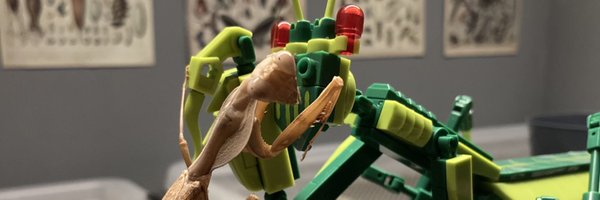 tundrune Profile Banner