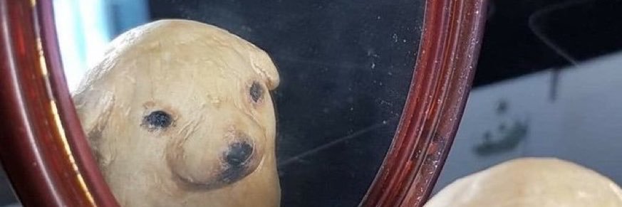 abnieeee's profile banner image
