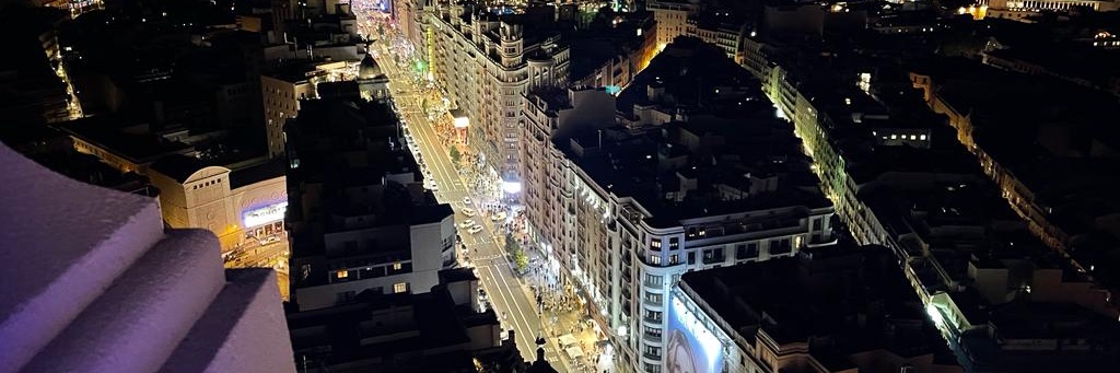 Covadonga Dómina Pérez banner