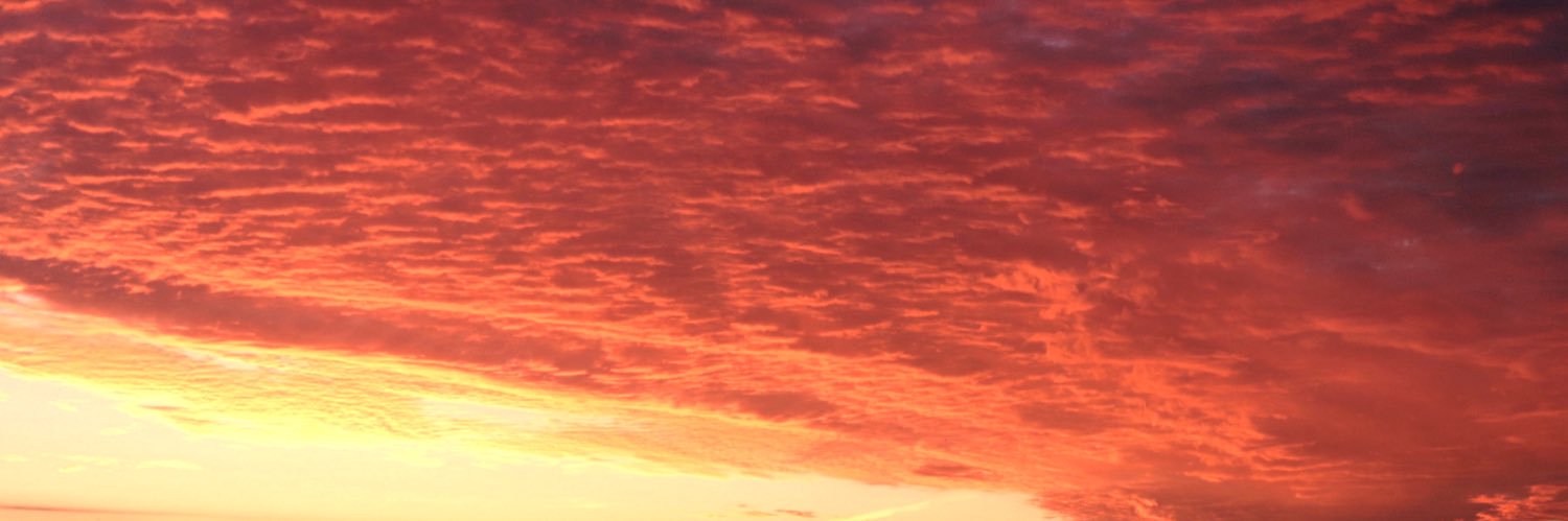 ErikaPantusa's profile banner image
