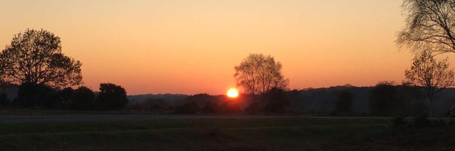 Senga Howells banner