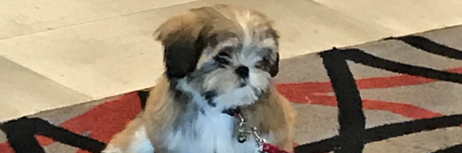 MsPhili2000's profile banner image