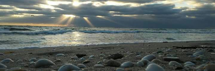 Tjcani's profile banner image