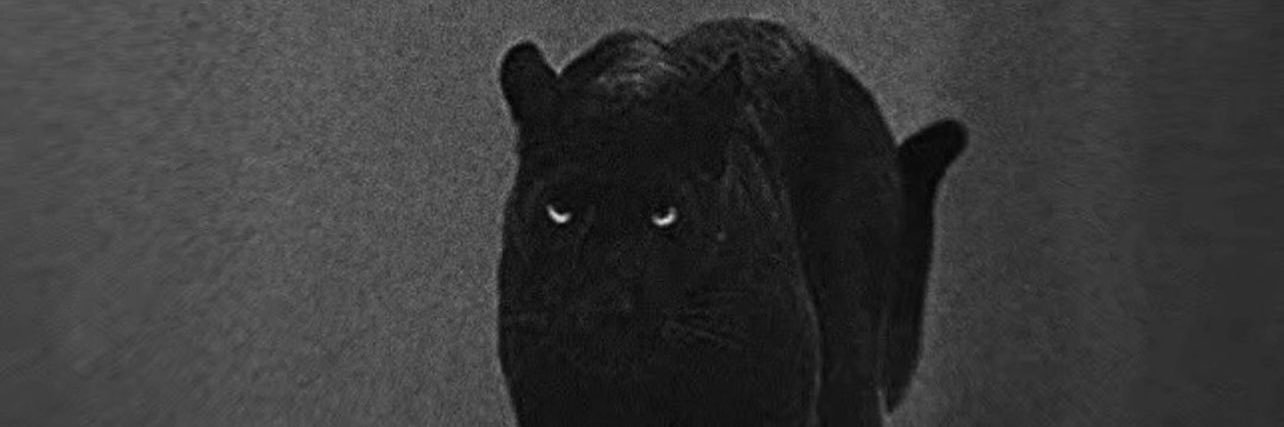 DonovanIsom's profile banner image