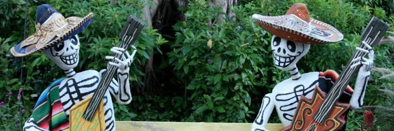 maik0_'s profile banner image