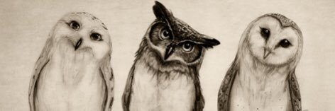 NilaPray's profile banner image