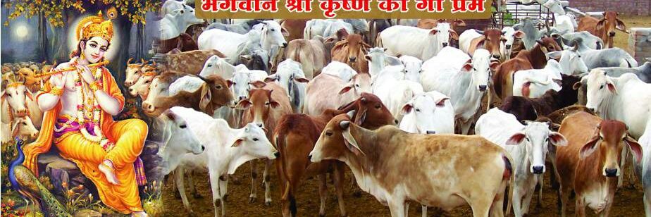 ManishaPoddar7's profile banner image